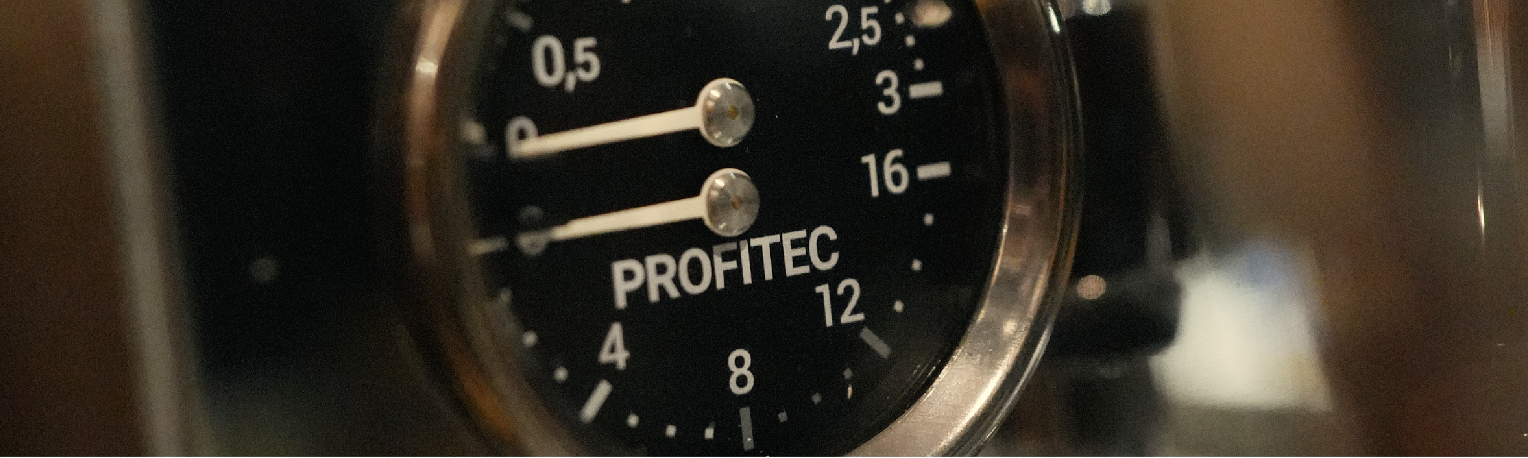 Profitec Espresso