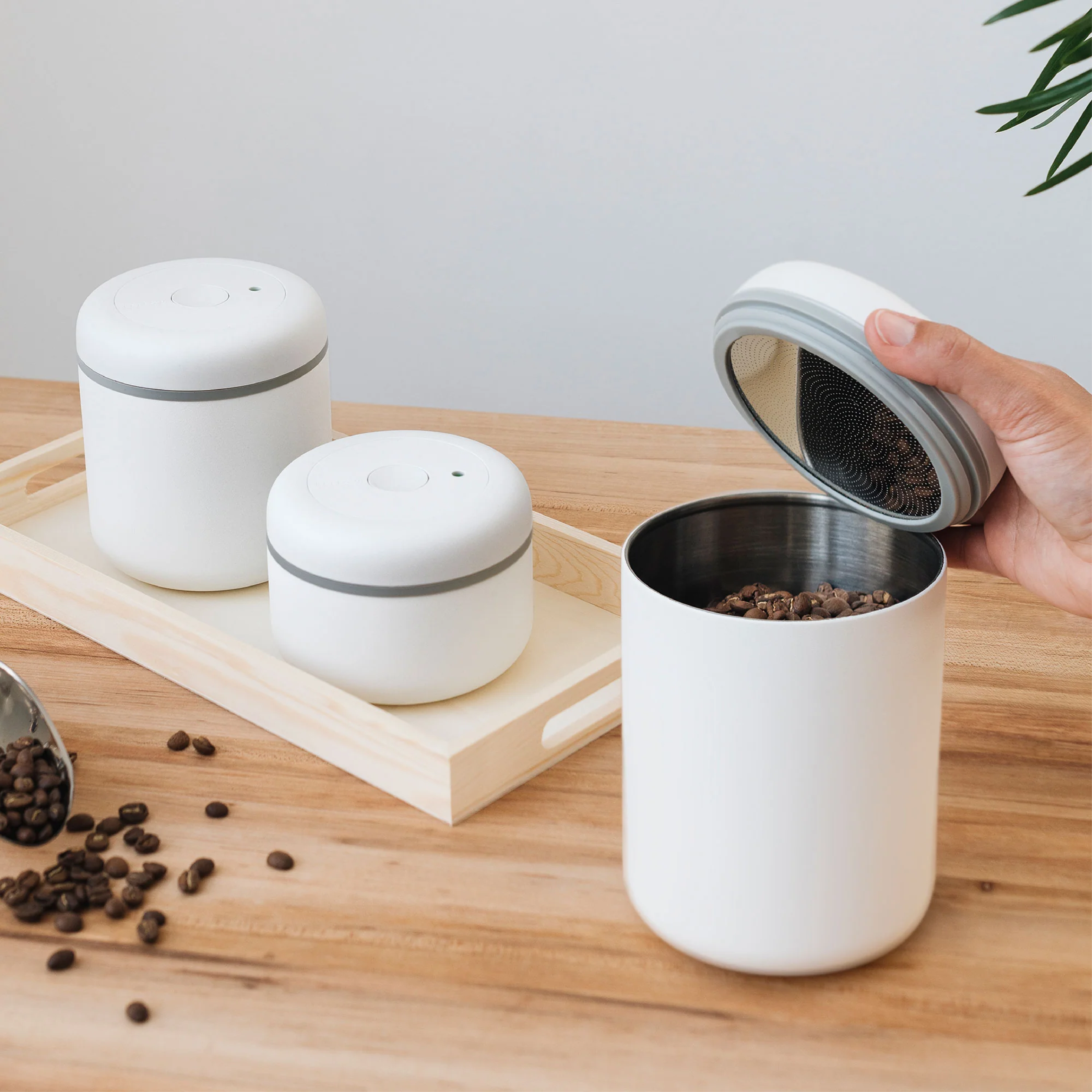 Fellow Atmos Coffee Vacuum Canister - Matt White 1.2 Litres
