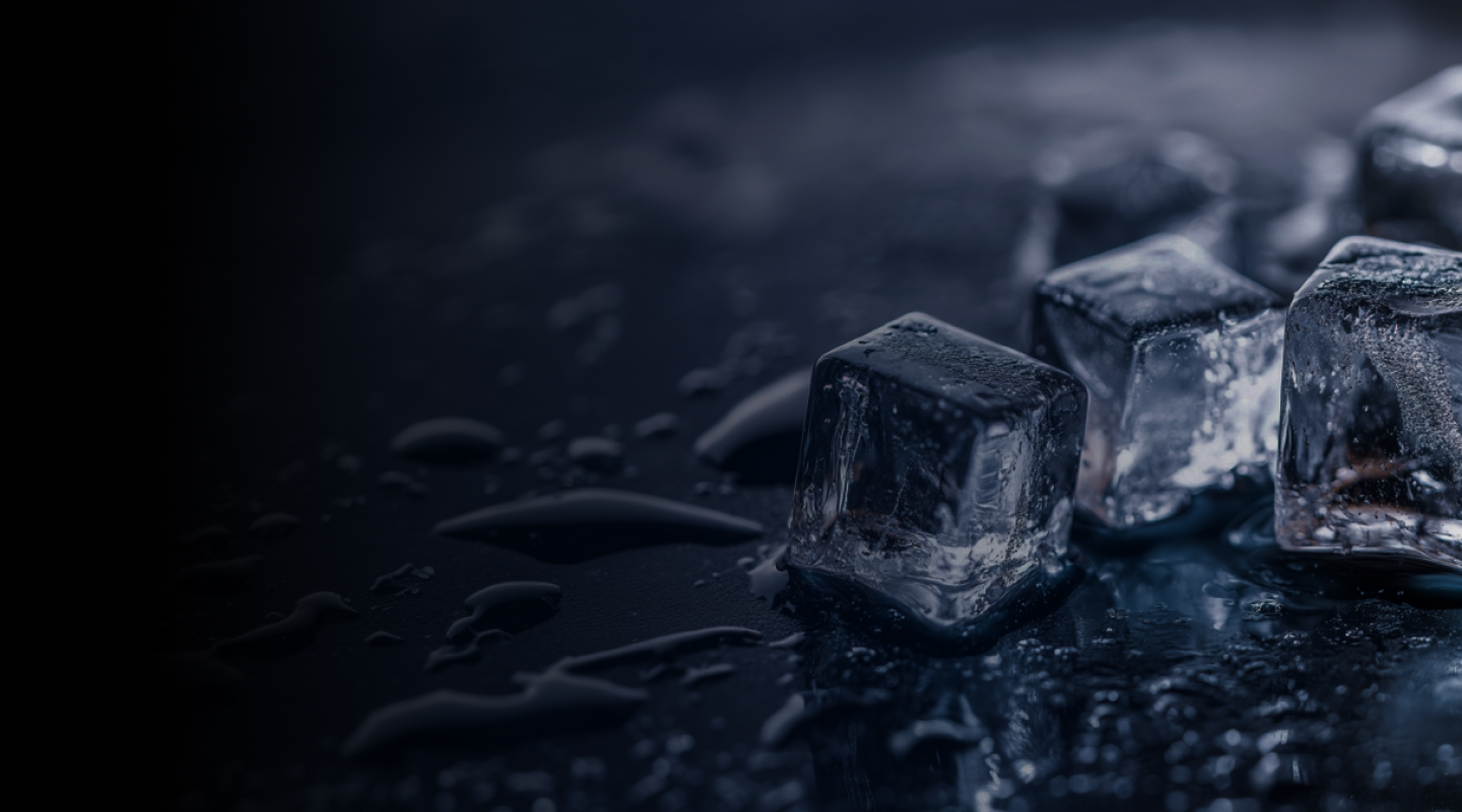Hoshizaki Ice Maker and Chillers