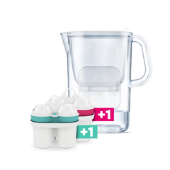 BWT AQUAlizer Zinc Starter package (1 Zinc & 1 Magnesium filter)