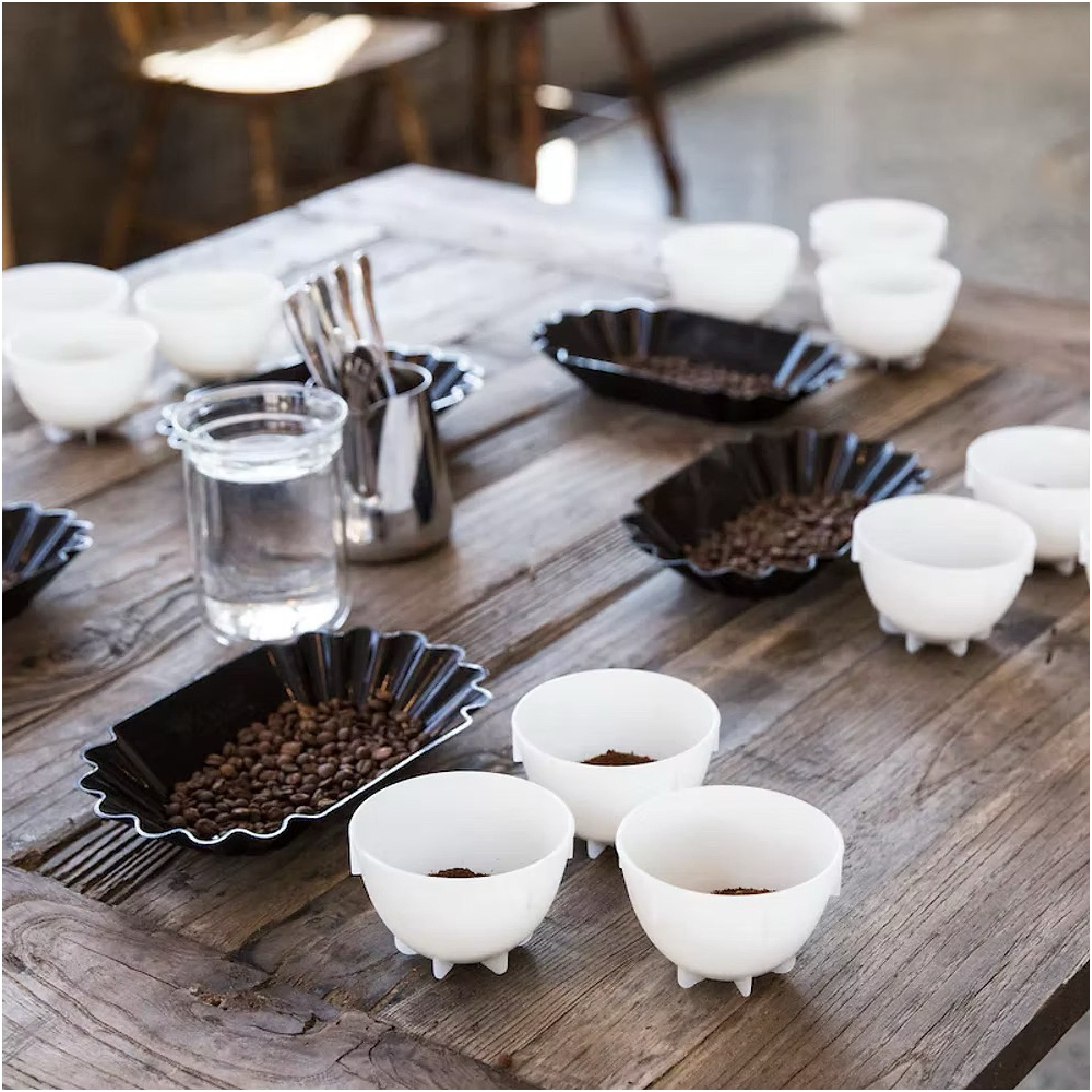 Barista Hustle Cupping Bowls - 24 Pack