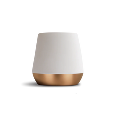 Fellow Joey Double Wall Ceramic Mugs - White